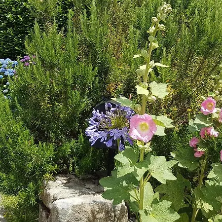 Bed & Breakfast Les Du Keriolet *